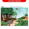DES ARBRES AUTOUR DE MOI
