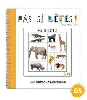 Jeu de logique et repérage spatial pour maternelle | Oiseau Magique