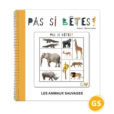Jeu de logique et repérage spatial pour maternelle | Oiseau Magique