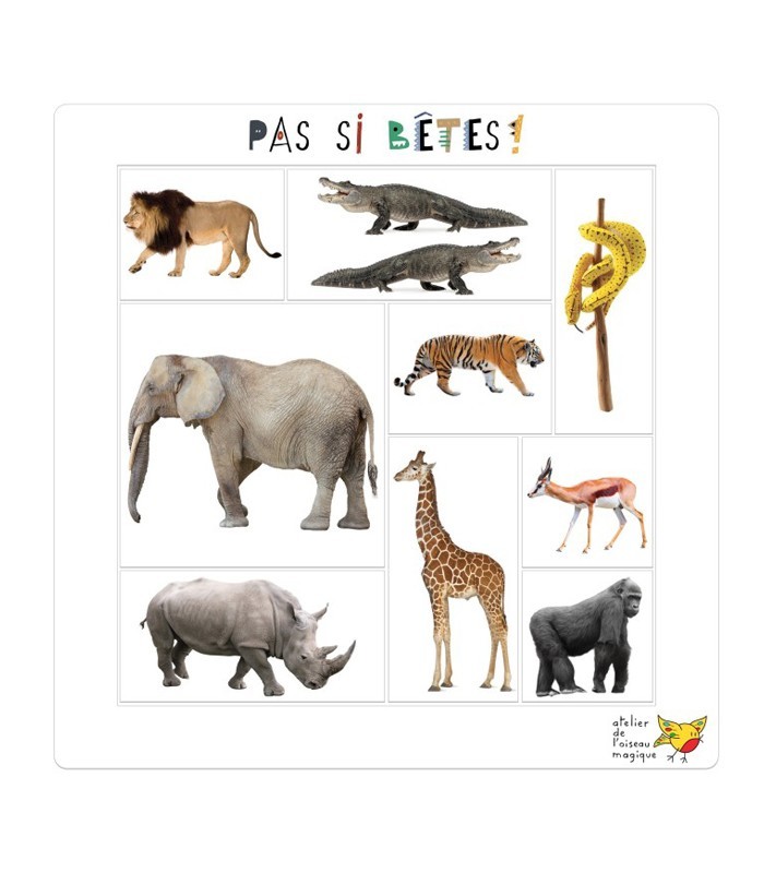 Jeu de logique et repérage spatial pour maternelle | Oiseau Magique