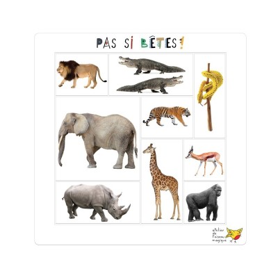 Jeu de logique et repérage spatial pour maternelle | Oiseau Magique