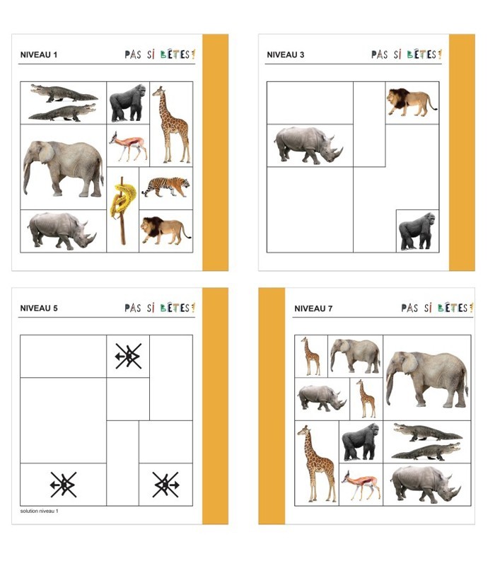 Jeu de logique et repérage spatial pour maternelle | Oiseau Magique