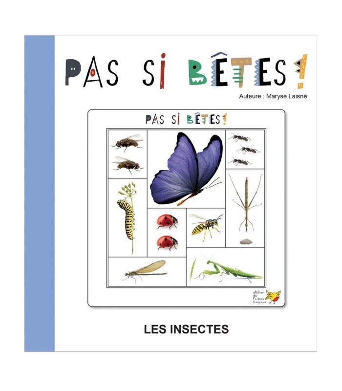 Jeu de logique et repérage spatial pour maternelle | Oiseau Magique