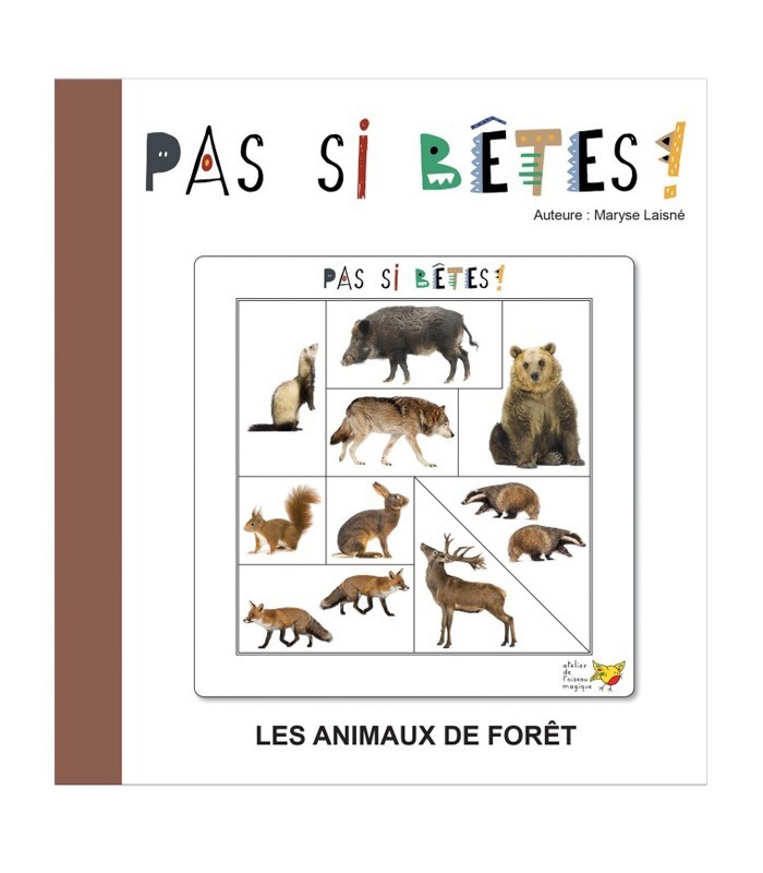 Jeu de logique et repérage spatial pour maternelle | Oiseau Magique