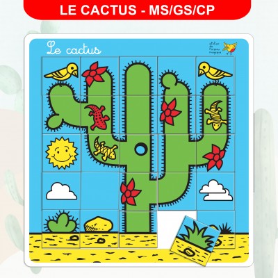Jeu d'orientation dans l'espace - Cactus