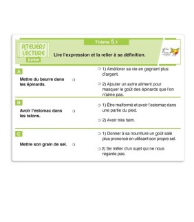 Jeu de discrimination visuelle - Transposition