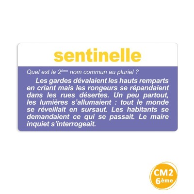 Outil pédagogique français – Grammaire, conjugaison et orthographe (Cycle 3)