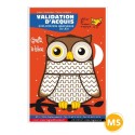 GRAFITI LE HIBOU VALIDATION D\'ACQUIS