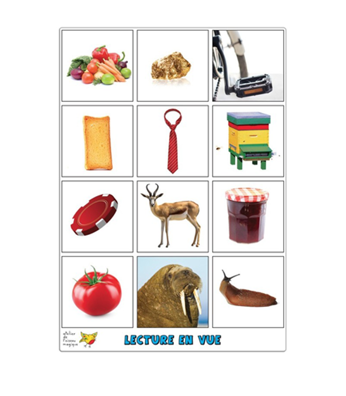 Lecture en vue - Atelier de l'Oiseau Magique