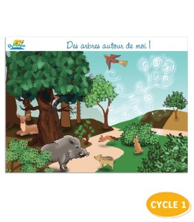 DES ARBRES AUTOUR DE MOI - DVD - L'Atelier de l'Oiseau Magique