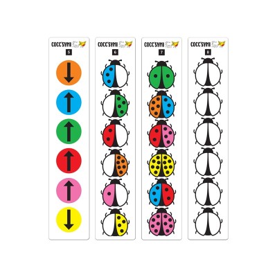 COCC’SYMI – Jeu de symétrie, logique et observation | Oiseau Magique
