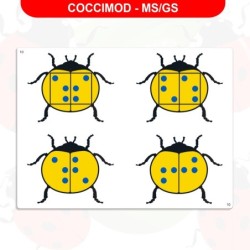 Jeu de repérage spatial - Coccimod
