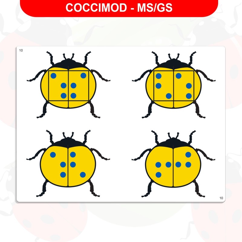 Jeu de repérage spatial - Coccimod