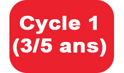 Cycle 1