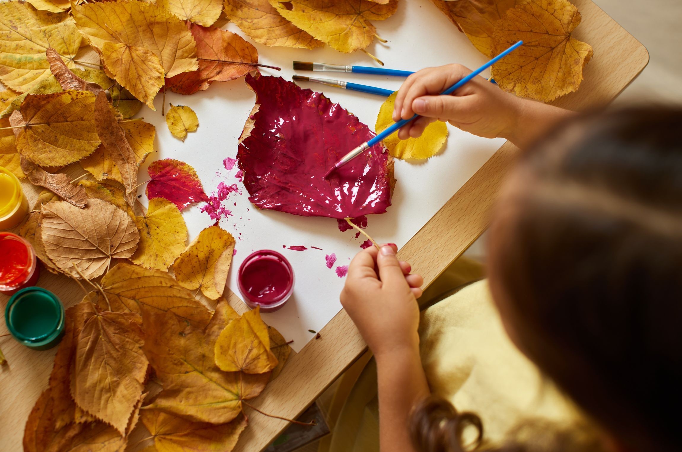 Exploiter les thématiques de l'automne pour enrichir les apprentissages au cycle 2